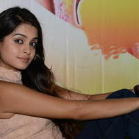 Sheena Shahabadi at Nuvve Naa Bangaram First Look Release Photos | Picture 599576